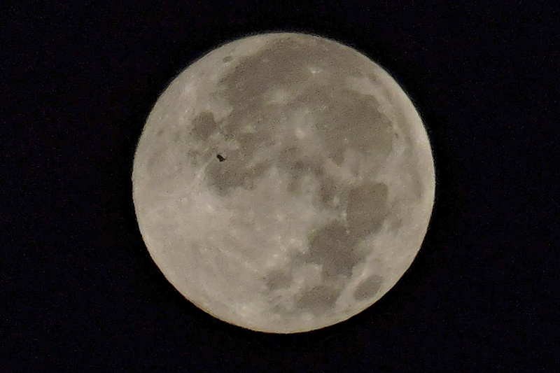 A bird flies past a full moon in Dalian City, northeast China's Liaoning Province, early Oct. 7, 2025. /VCG