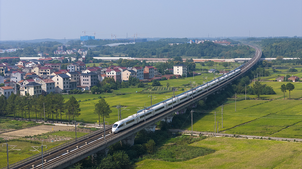 A high-speed train runs above rice fields in Jinhua City, Zhejiang Province on October 7, 2025. VCG
