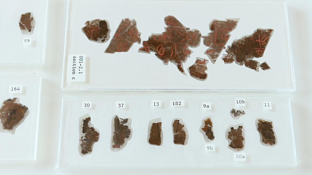 Live: China's earliest known silk texts join Hunan Museum's collection