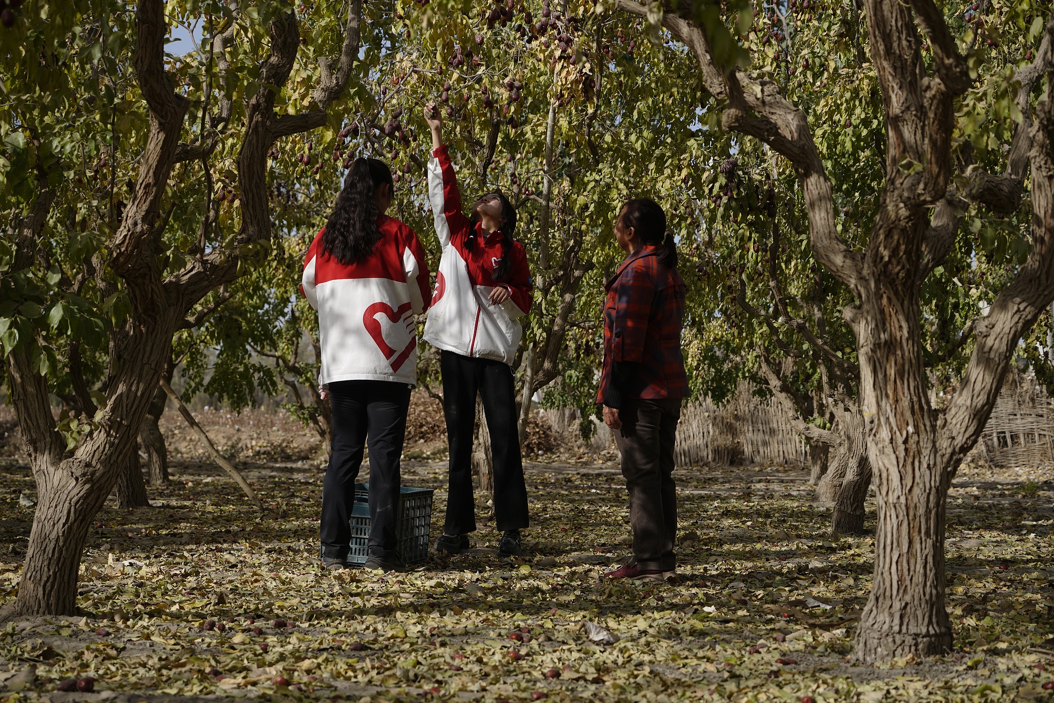 Act to Action: Youth volunteers shine in the 'Go West' program