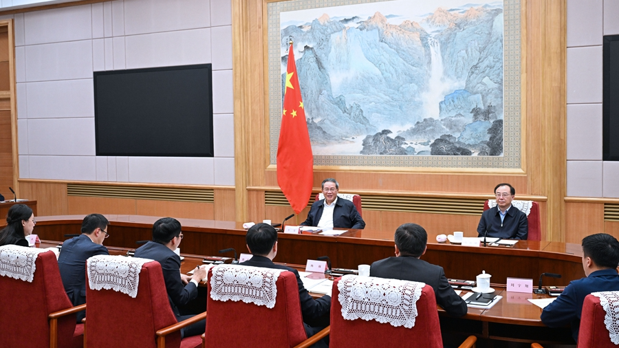 Chinese premier holds symposium on economic situation
