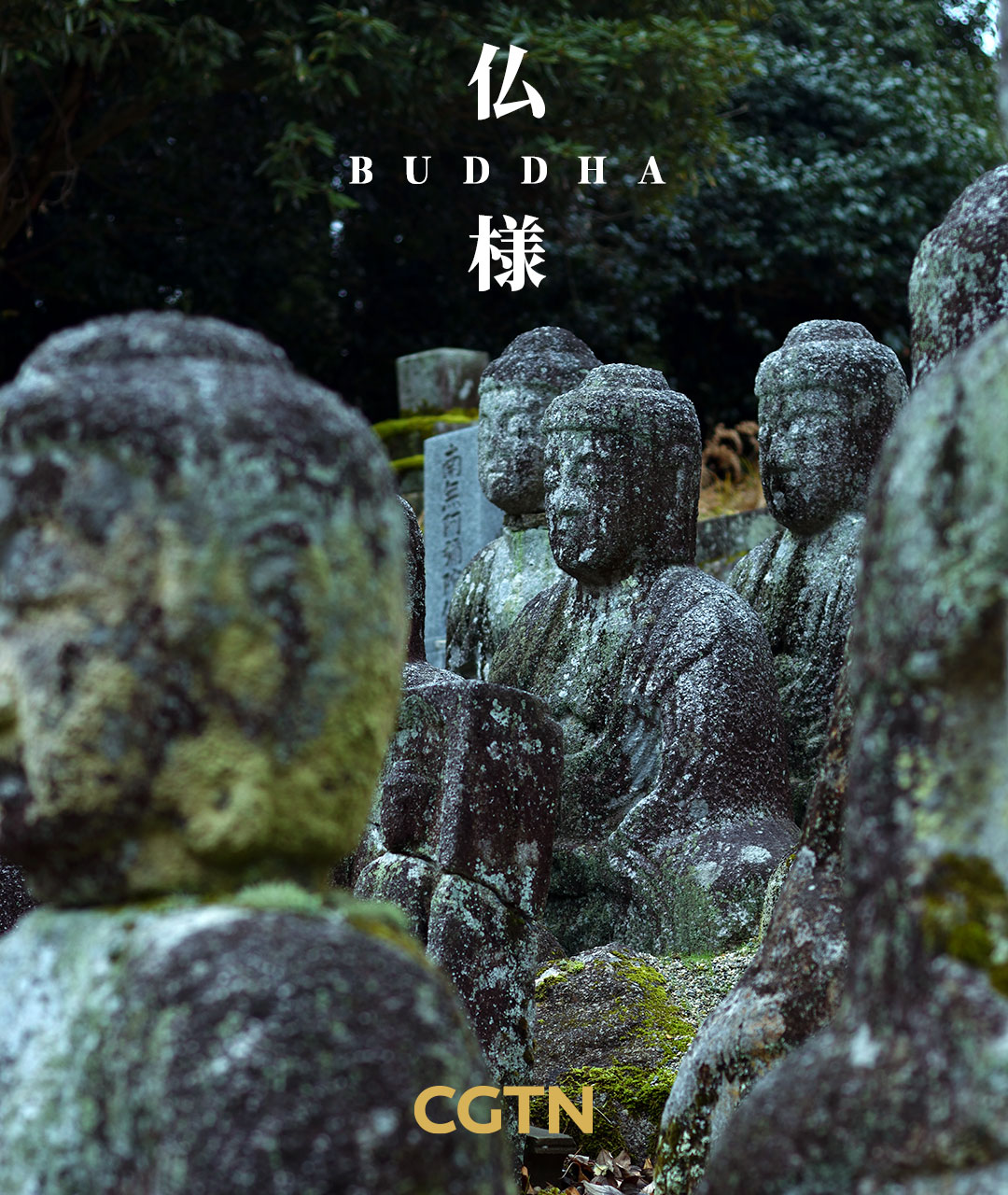 A poster features iconic elements of Japanese culture. /CGTN