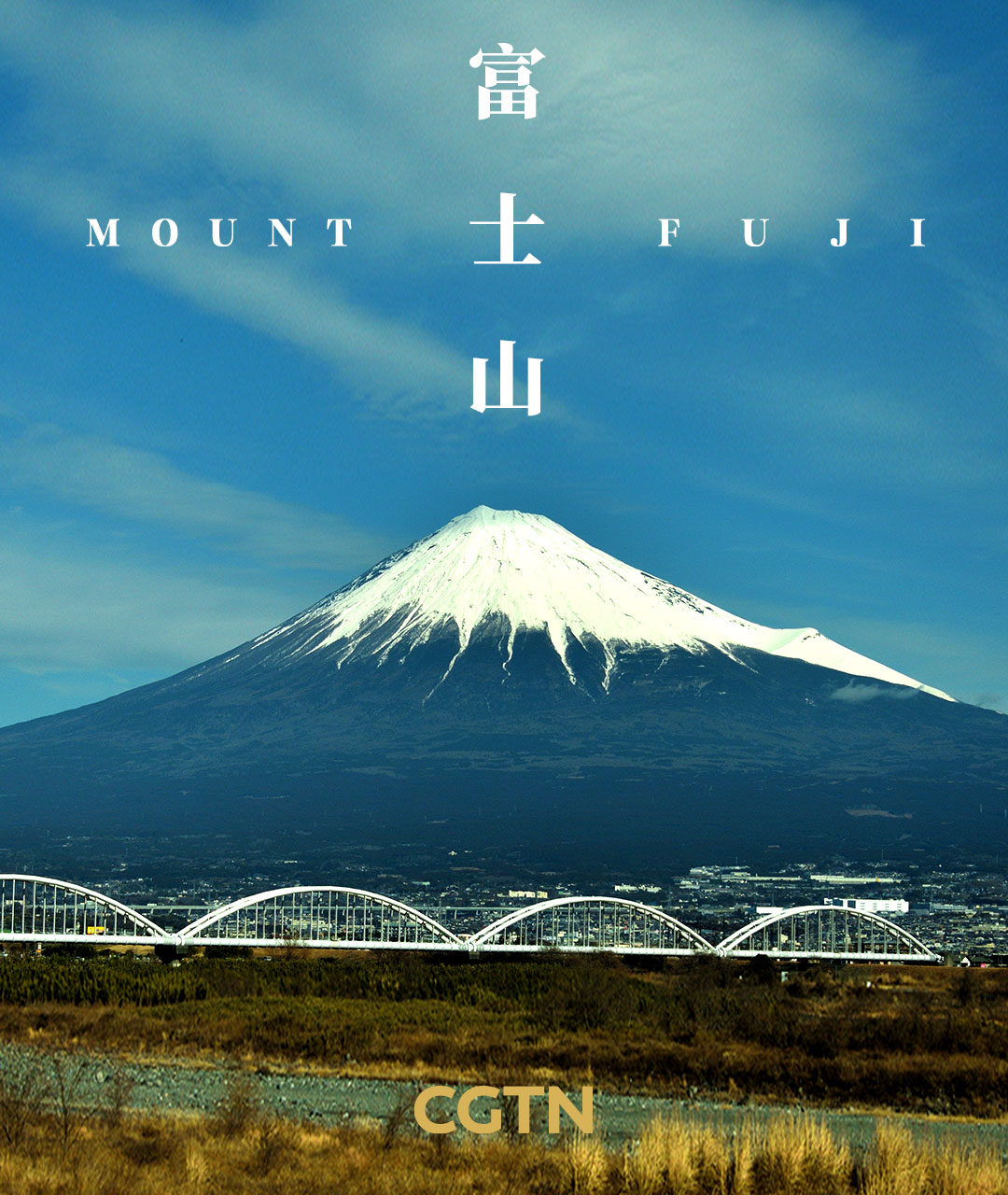 A poster features iconic elements of Japanese culture. /CGTN