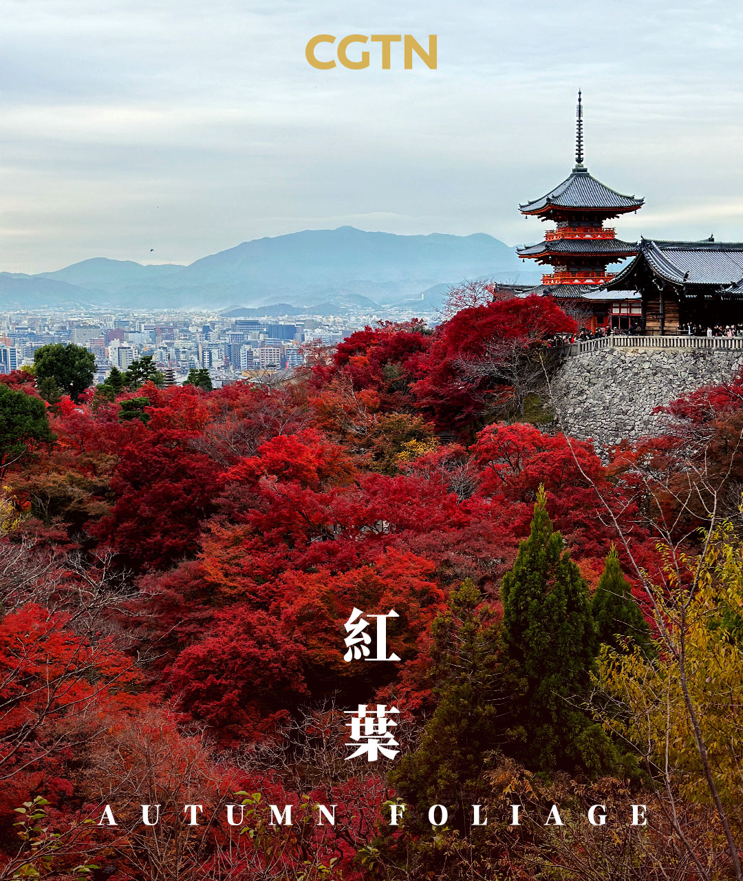 A poster features iconic elements of Japanese culture. /CGTN