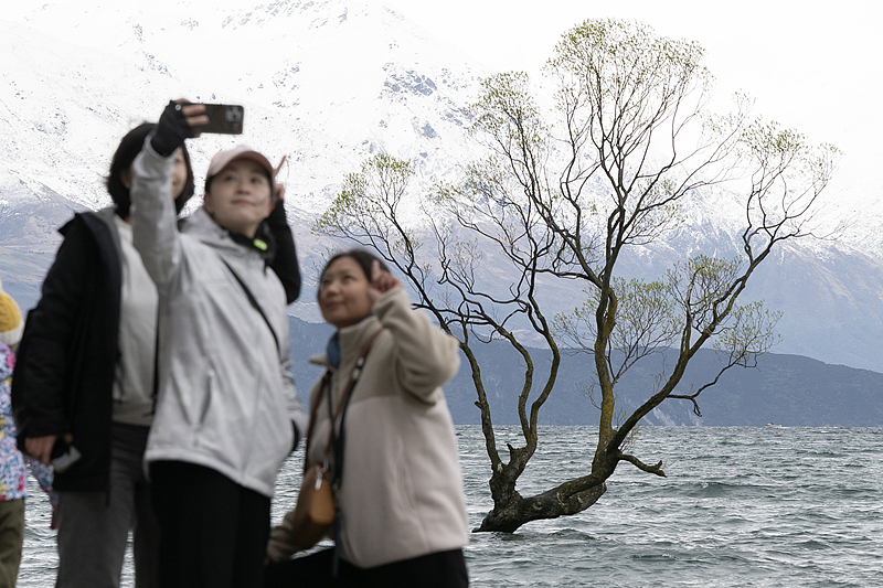 Chinese tourists take photos in front of the Wanaka Tree, a lonely willow tree in Wanaka, New Zealand, September 27, 2025. /VCG