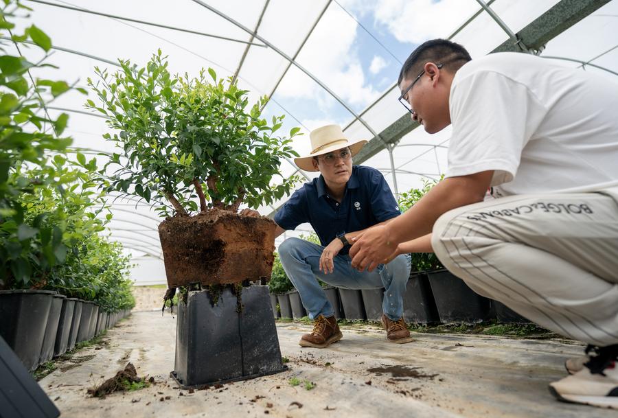 Act to Action: A Peruvian agricultural engineer's blueberry story