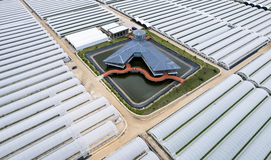 Act to Action: A Peruvian agricultural engineer's blueberry story