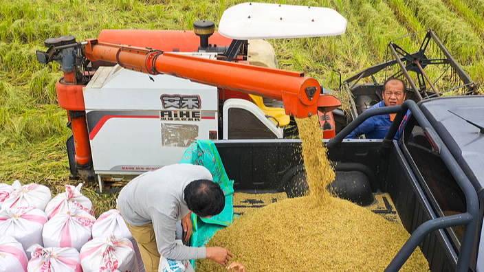 China's answers to food security challenges and global implications