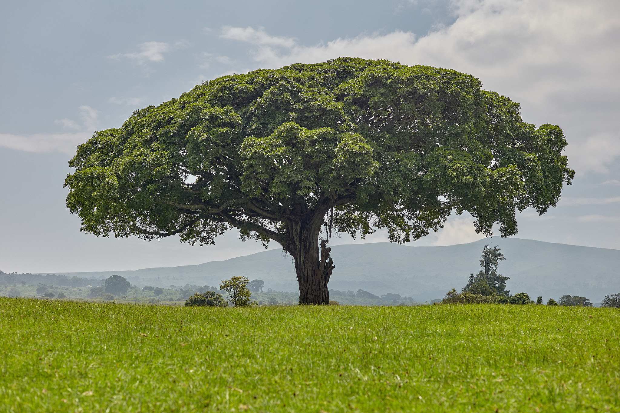 A view of the Ngorongoro Conservation Area in Tanzania. /VCG