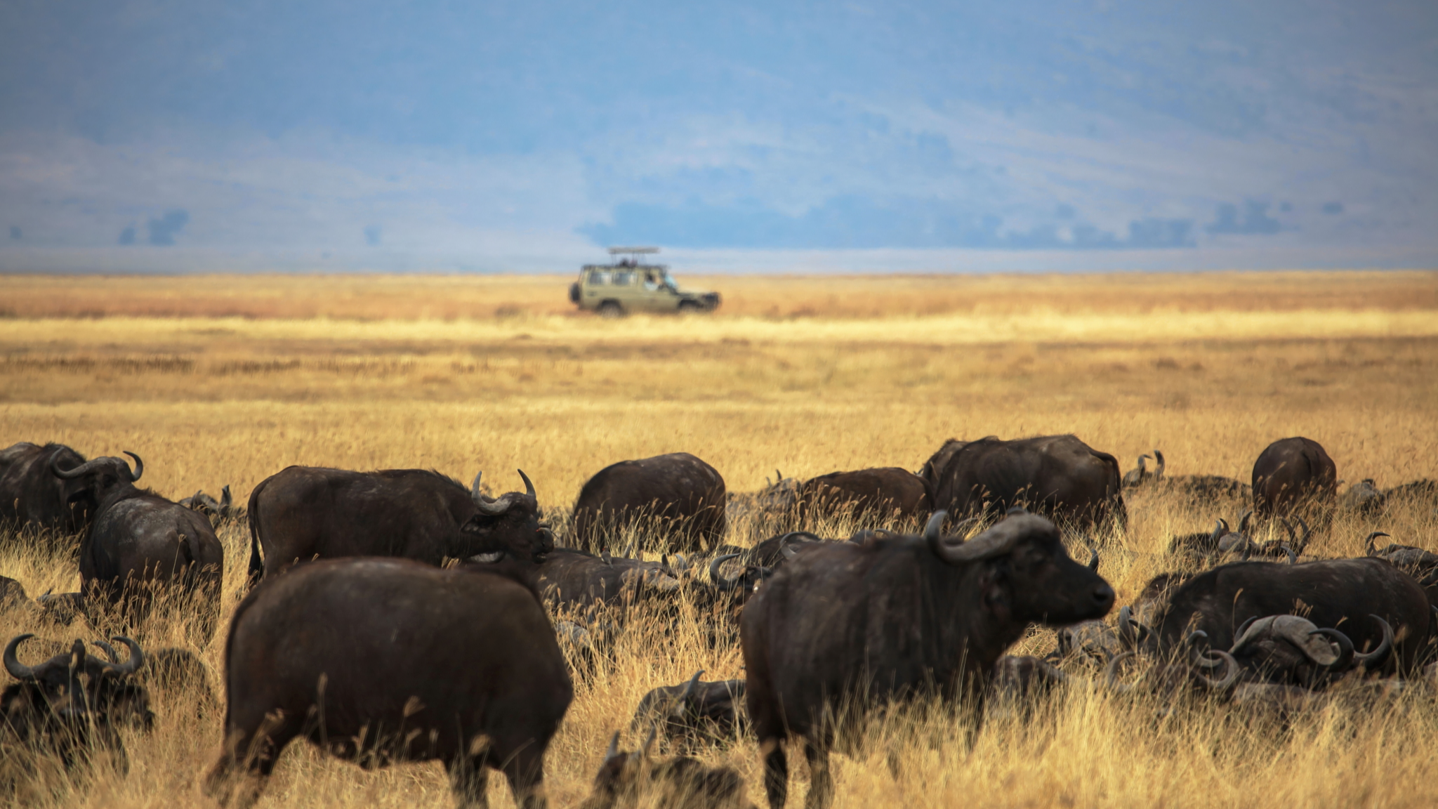 China, Tanzania unveil landmark Ngorongoro-Lengai Geopark