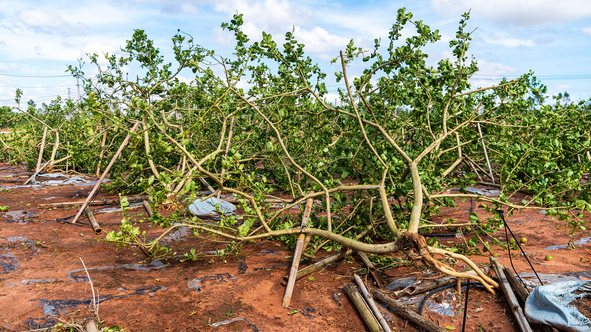 China's agile systems meet complex climate challenges