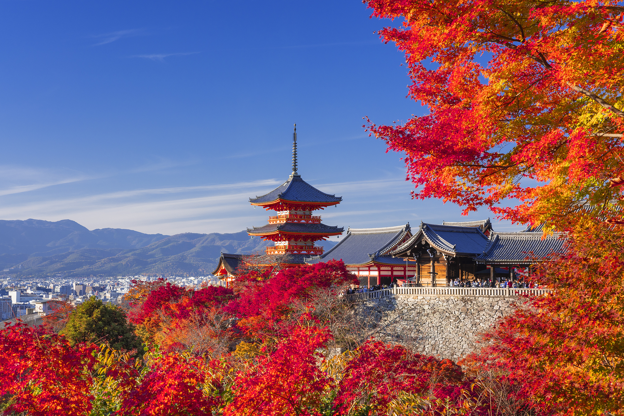 Kiyomizu-dera Temple in Kyoto, Japan. /VCG