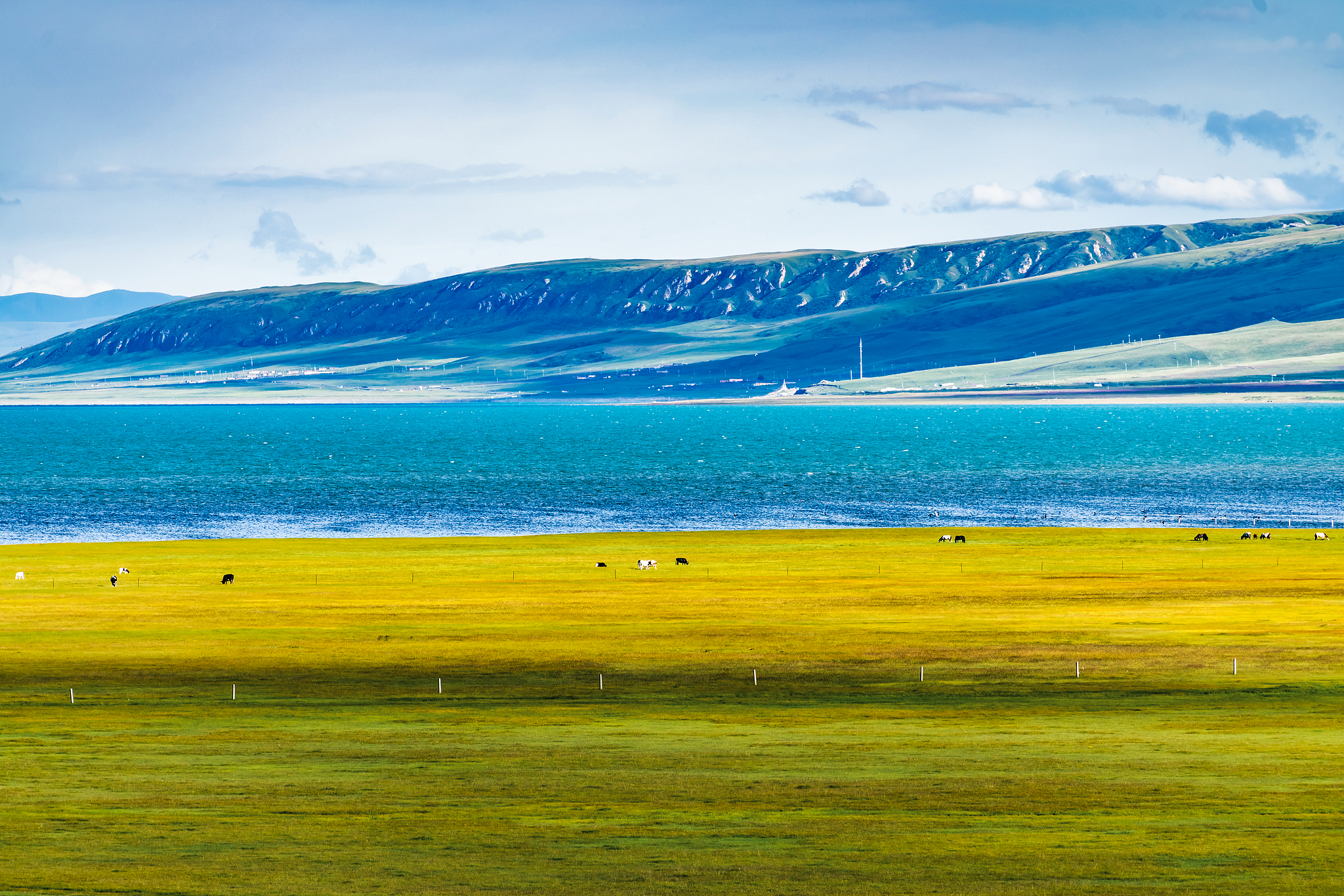 Qinghai Lake in Qinghai Province, China. /VCG
