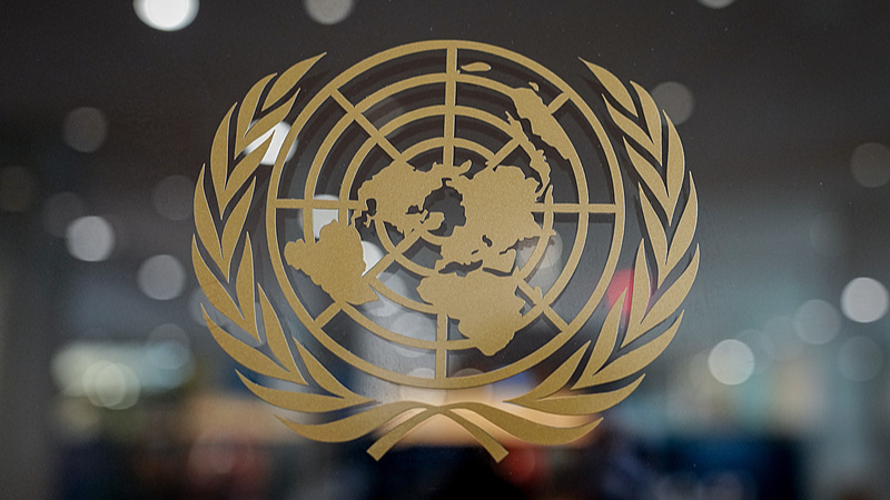 Seminar on 80th anniversary of UN highlights UNGA Resolution 2758