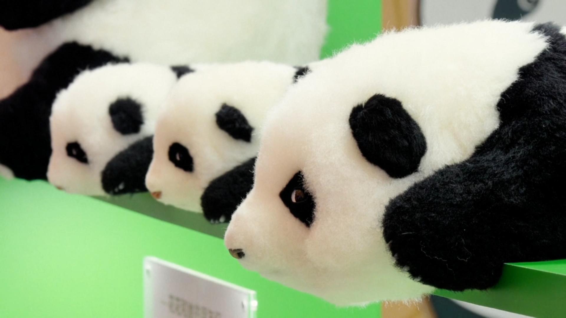 China Toy Expo highlights strong growth in IP licensing