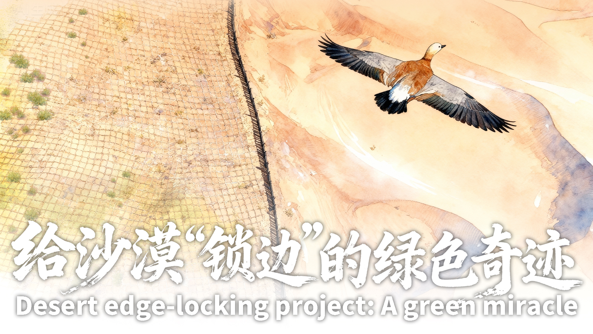 Desert edge-locking project: A green miracle