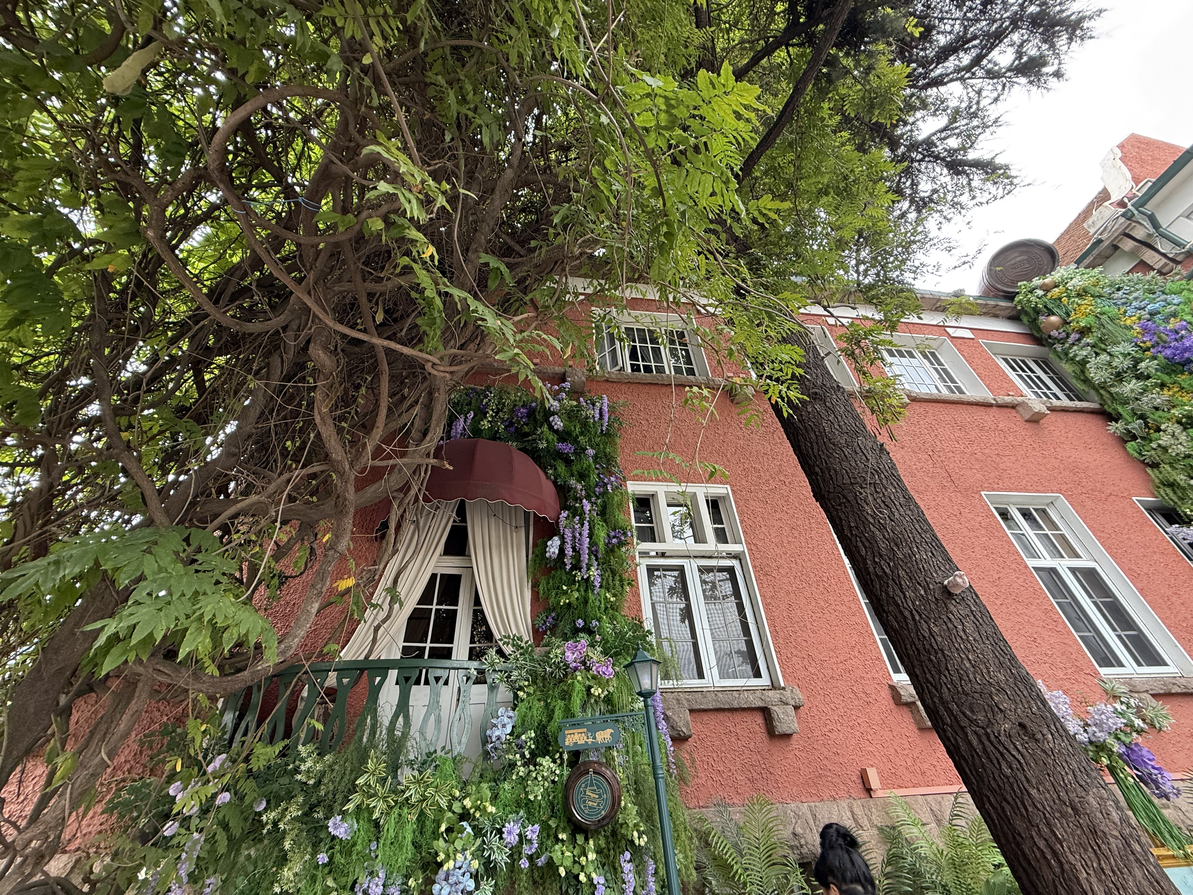Streets of Qingdao lined with historic European-style buildings, September 2025. Zaruhi Poghosyan/ CGTN