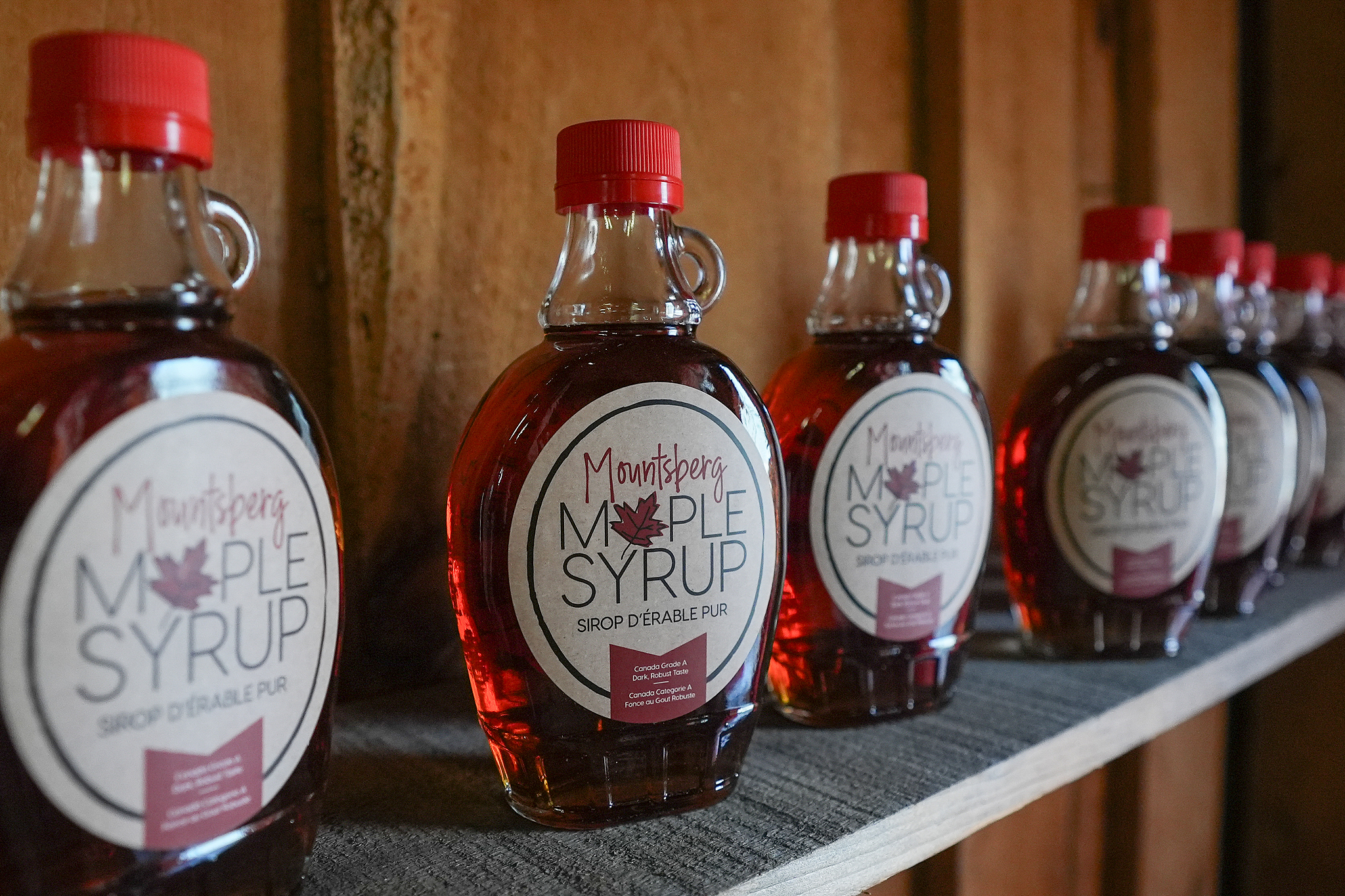 APEC Stories: Maple leaf – A symbol of Canada and its natural beauty