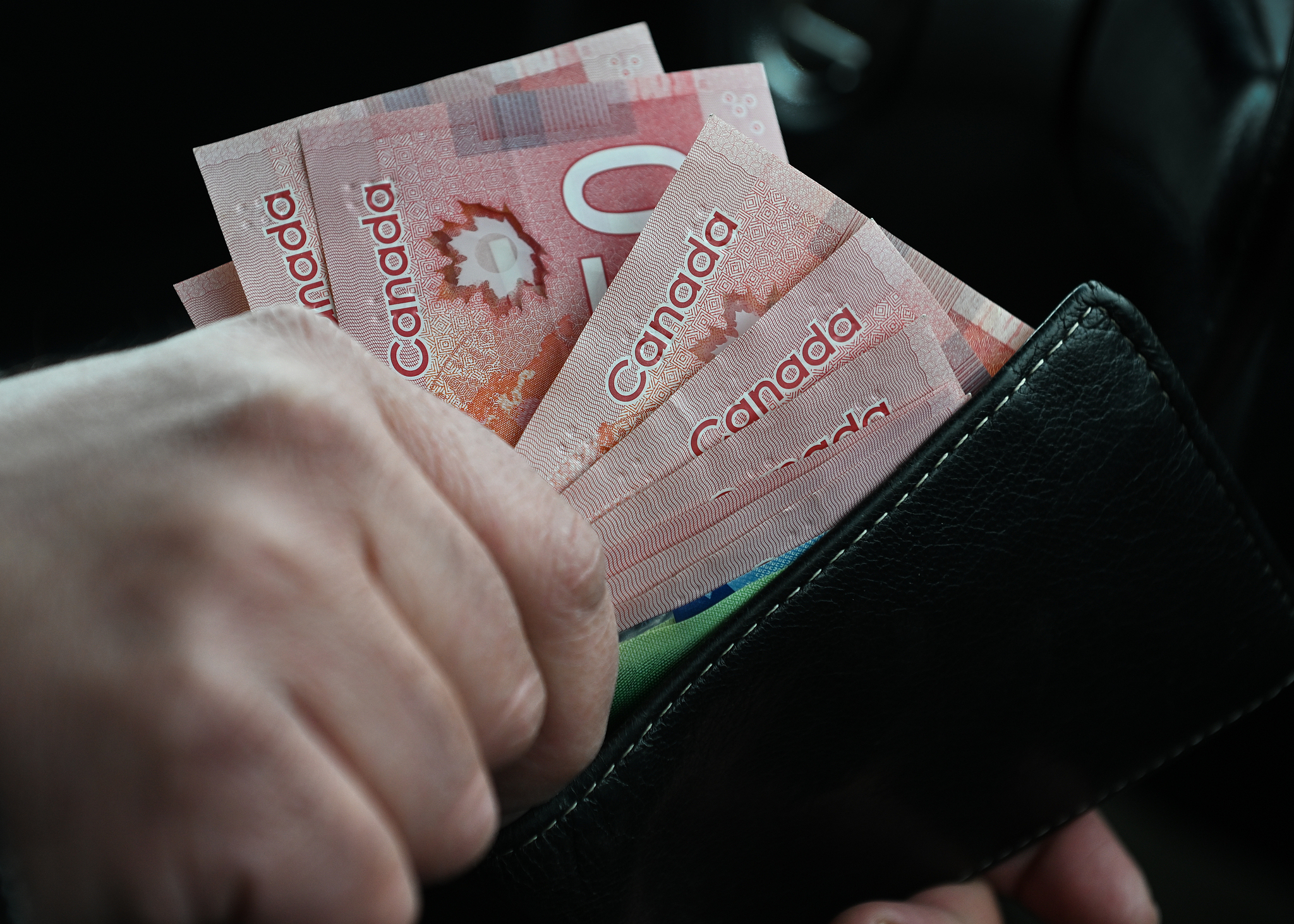 APEC Stories: Maple leaf – A symbol of Canada and its natural beauty