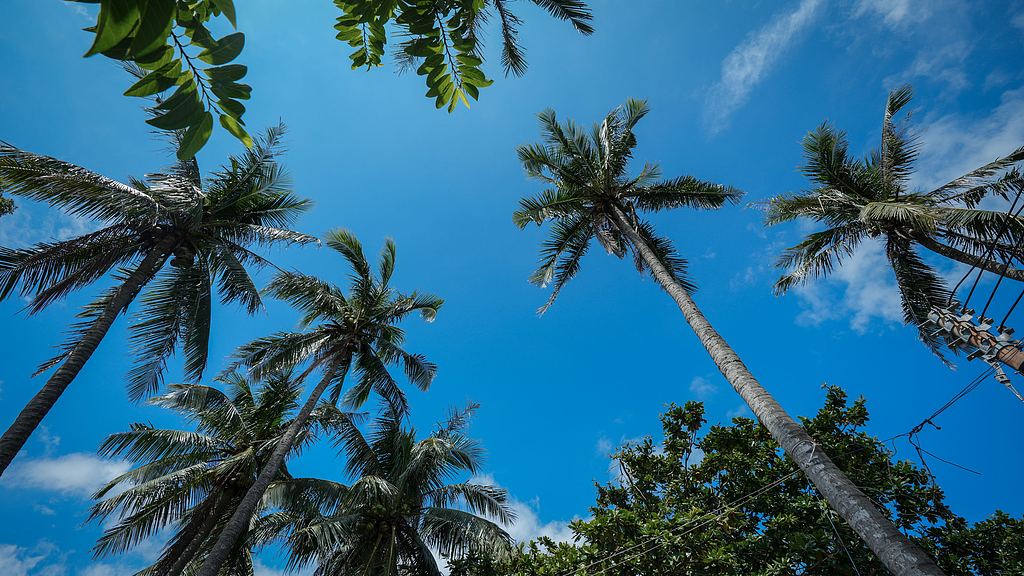 The Shenchong Coastal Resort in Danzhou, Hainan, opens on October 1, 2025. /VCG