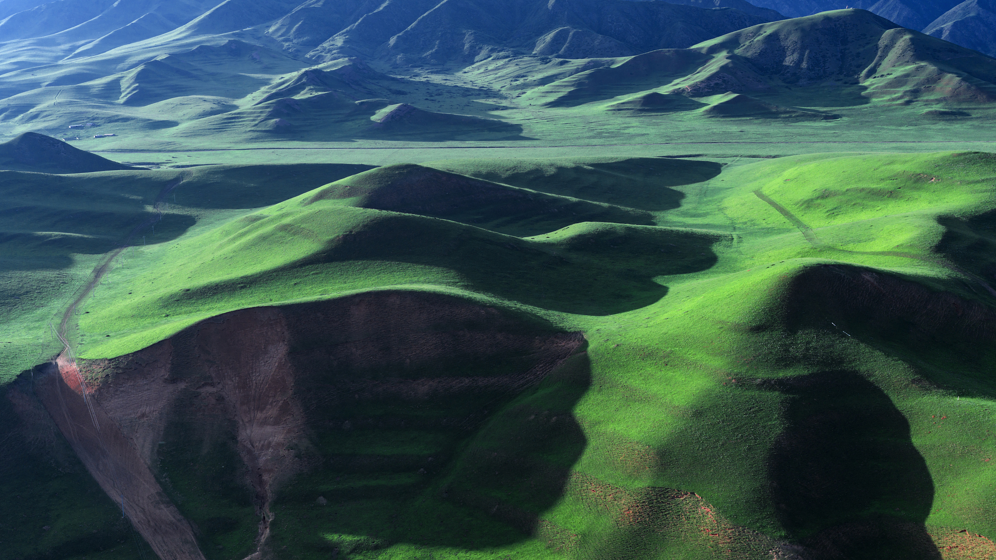 Sangke Grassland in Gannan Zang Autonomous Prefecture, Gansu Province, northwest China, July 10, 2025. /VCG