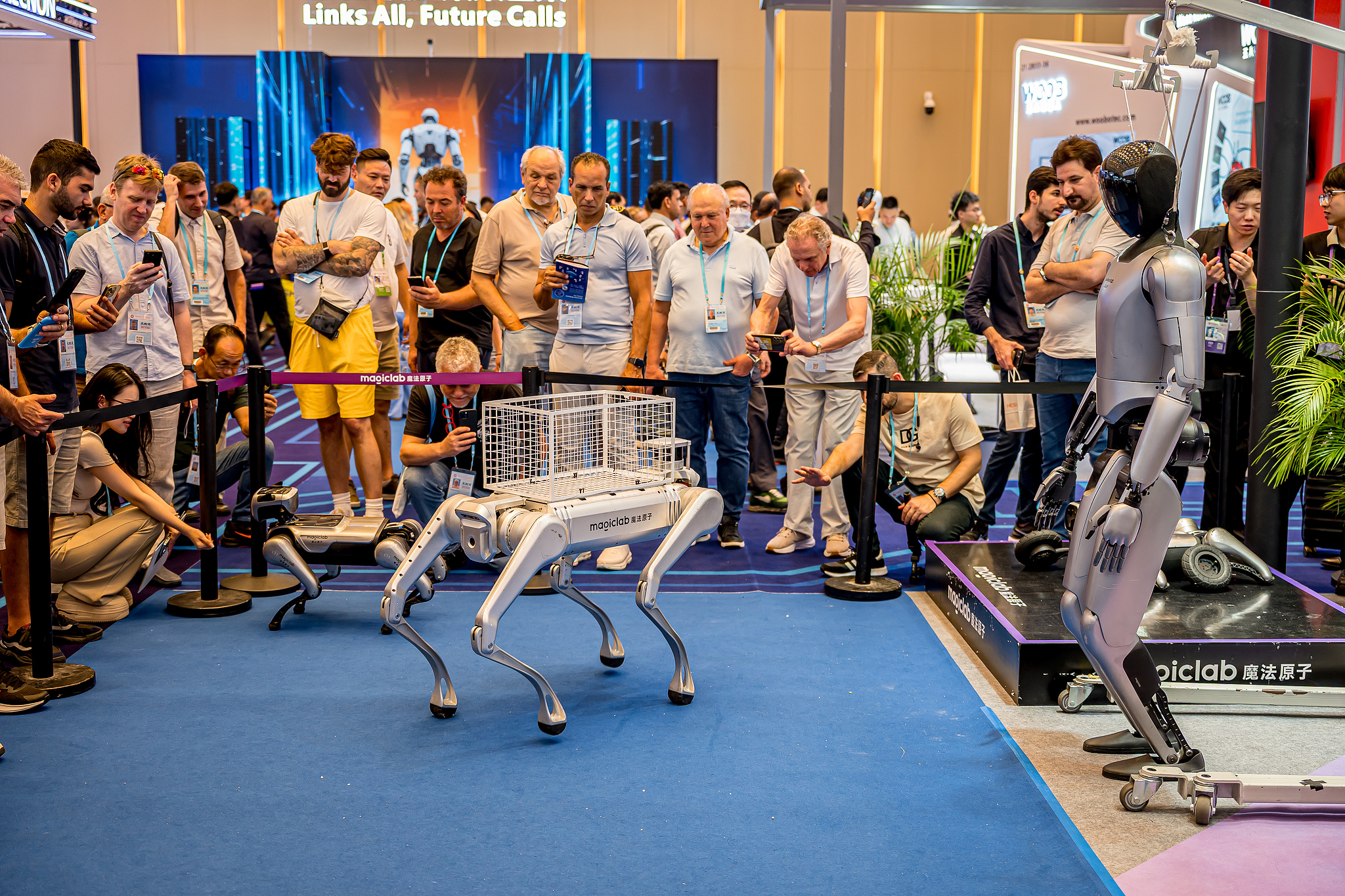People check robot dogs at the 138th China Import and Export Fair in Guangzhou, south China's Guangdong Province, on October 17, 2025. /VCG