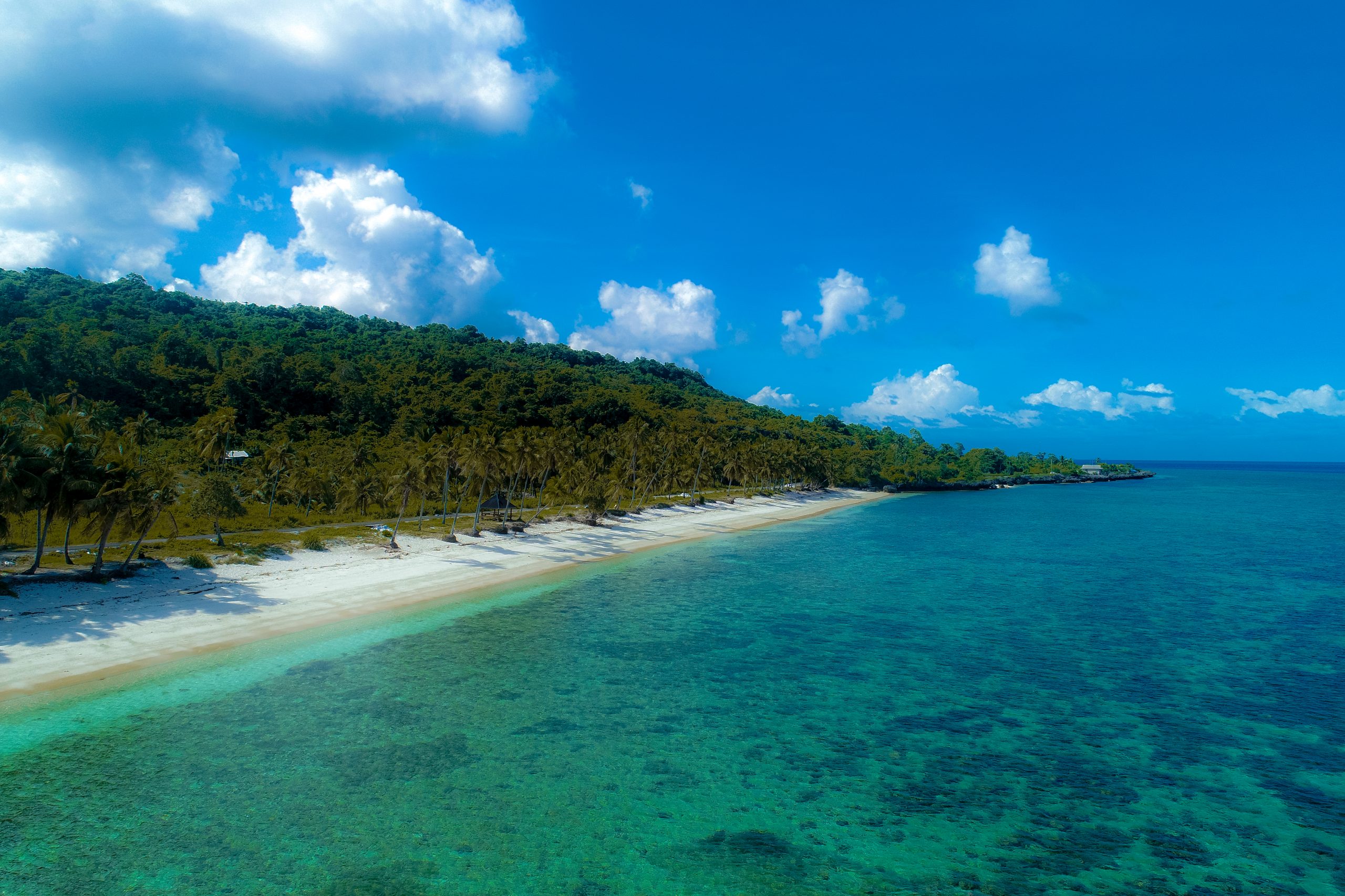 APEC Stories: Wakatobi National Park – A marine gem in Indonesia