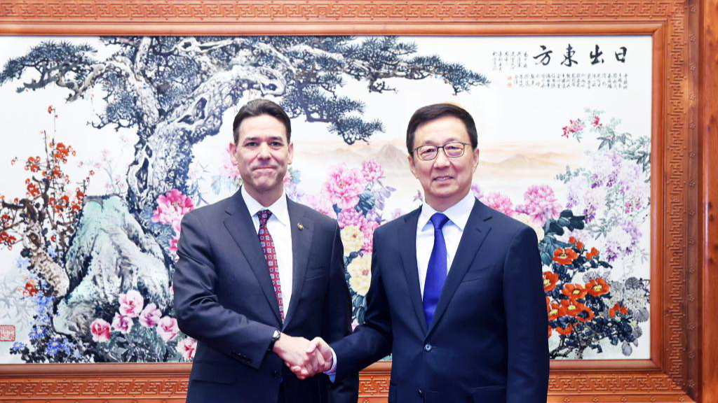 Chinese VP: China, U.S. 'can and should' become partners and friends