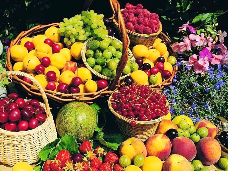 New policies at the Hainan Free Trade Port are facilitating the wider export of processed agricultural products. /Photo provided to CGTN