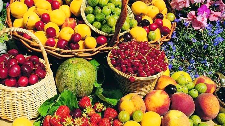 Hainan Free Trade Port's policies boost wider exports of agri-products