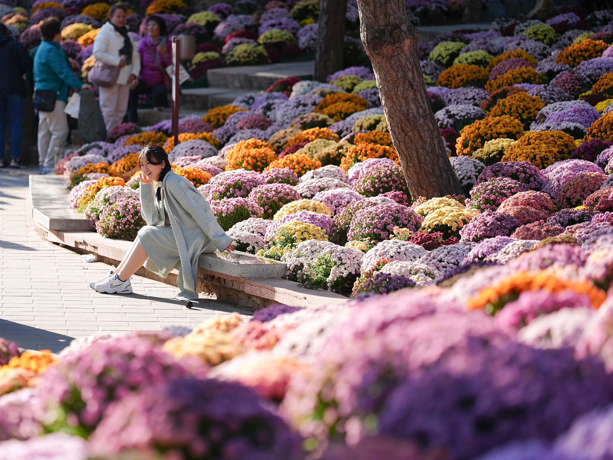 People enjoy the blooming chrysanthemums at Ritan Park in Beijing, October 20, 2025. /VCG