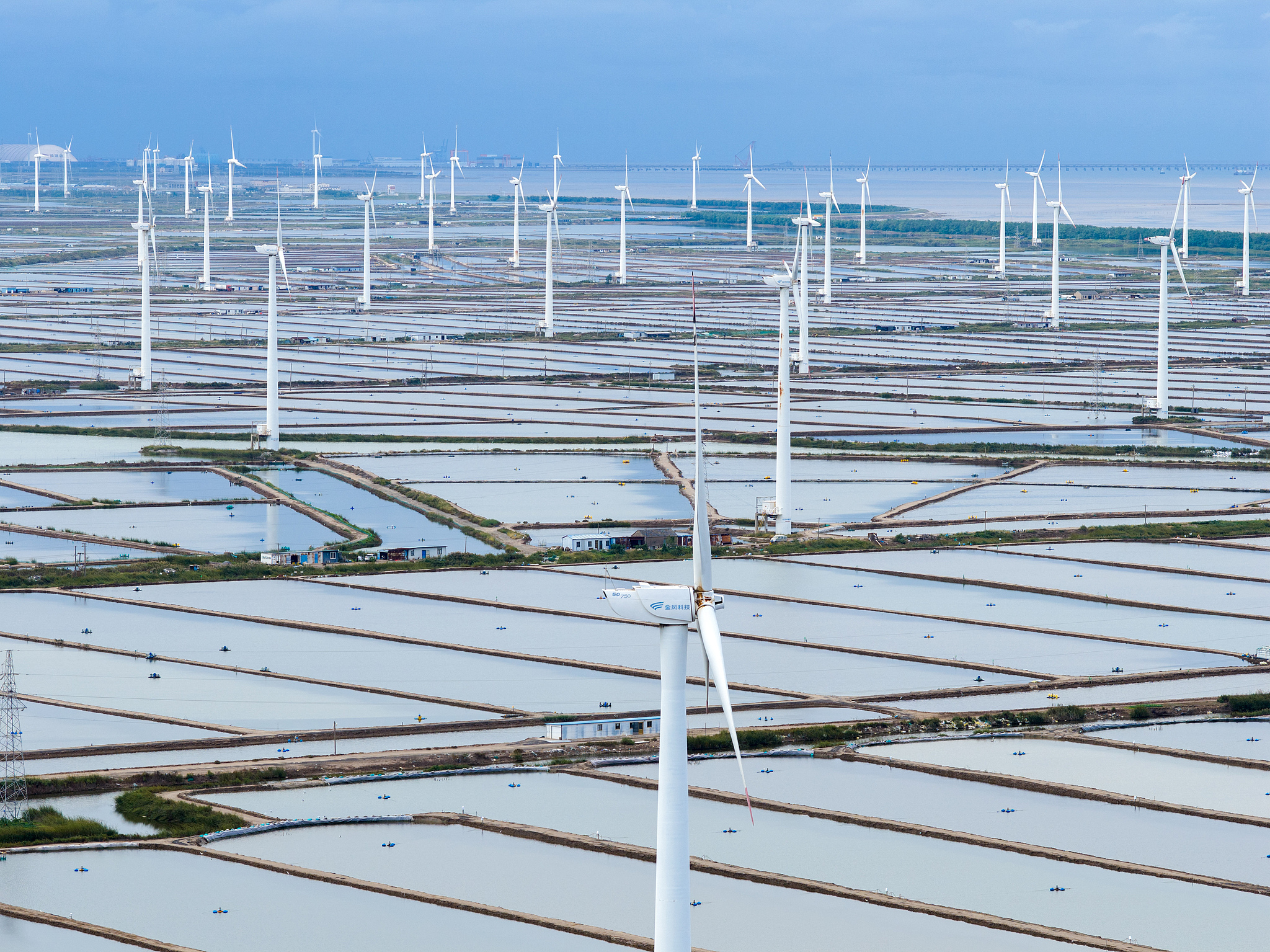 View of a wind farm in China's Jiangsu Province, October 17, 2025. /VCG