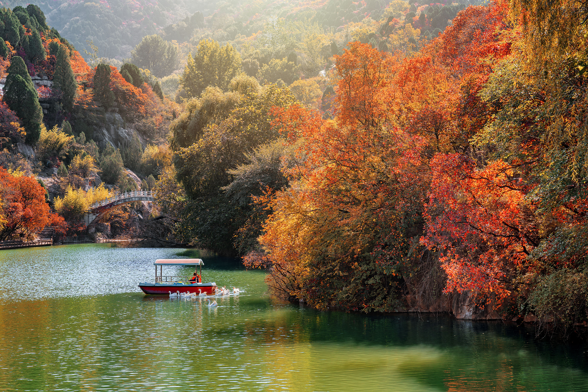 A view of the Red Leaves Canyon Scenic Area in Jinan, Shandong Province, on October 21, 2025. /VCG