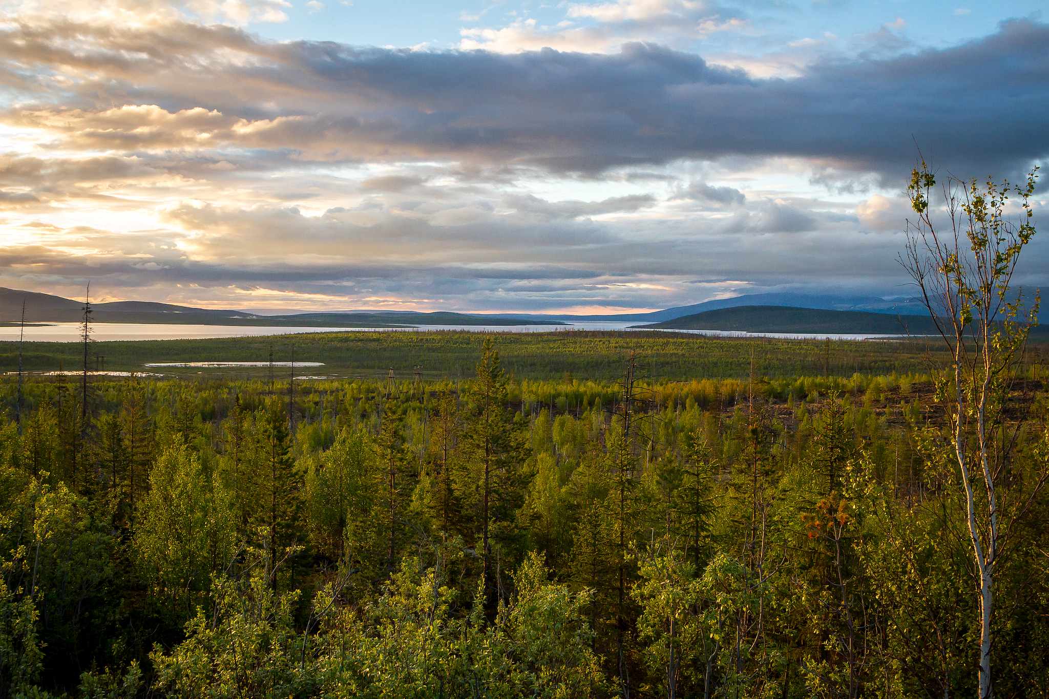 A summer night view of the Kola Peninsula, Russia. /VCG