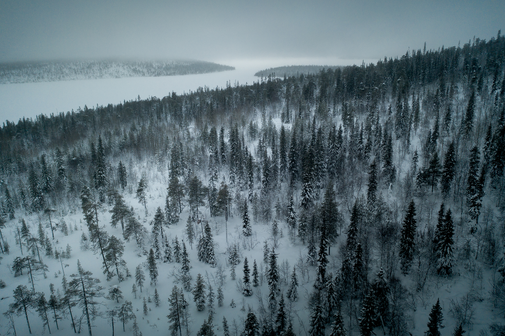 Polar night at the Kola Peninsula, Russia. /VCG