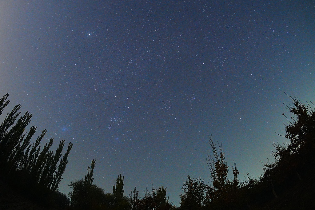 The Orionid meteor shower streaks across the night sky in Xinjiang, October 22, 2025. /VCG