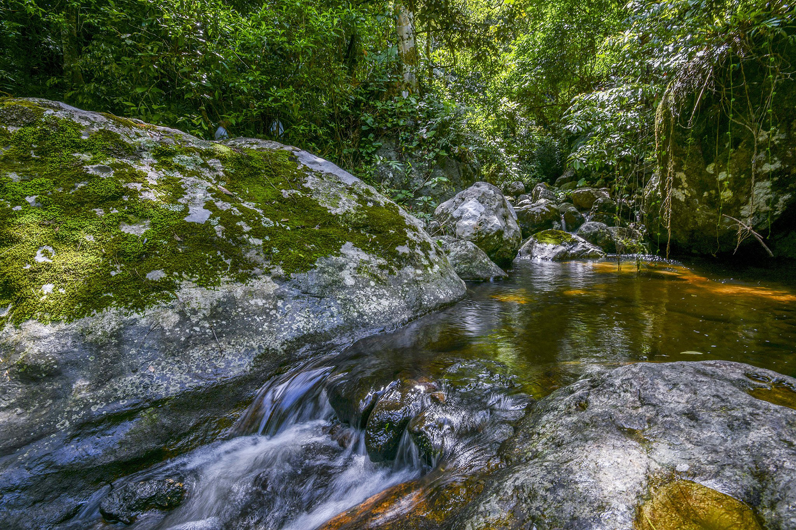 A view of the Hainan Tropical Rainforest National Park /VCG