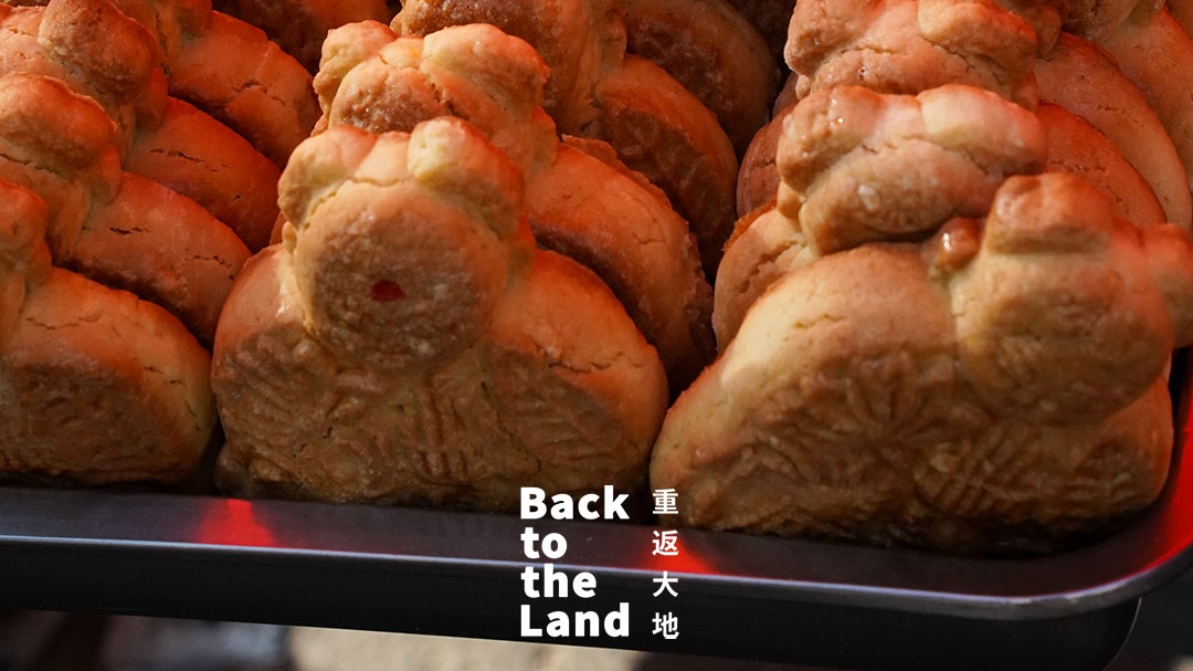 Xinghe Market: The vibrant pulse of the grasslands