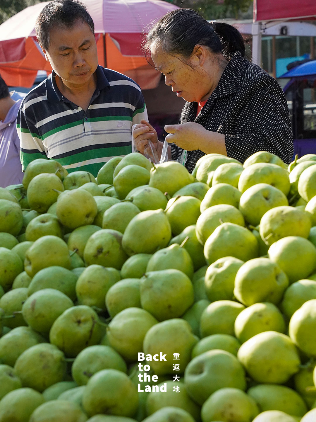 Located in Inner Mongolia, Xinghe Market is a lively local market filled with fresh produce and color. /CGTN