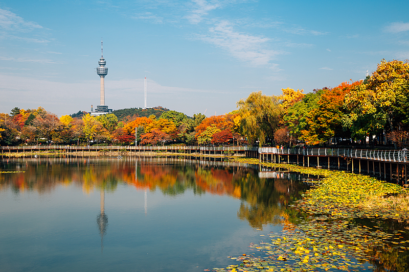 The autumn view of the Daegu Tower, or 83 Tower, Daegu, South Korea. /VCG