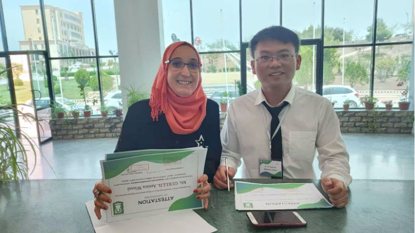 China's 'magic needles' shine in North Africa