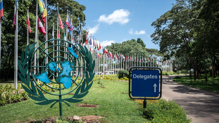 GGI supports & reinforces UN's role in global environmental governance