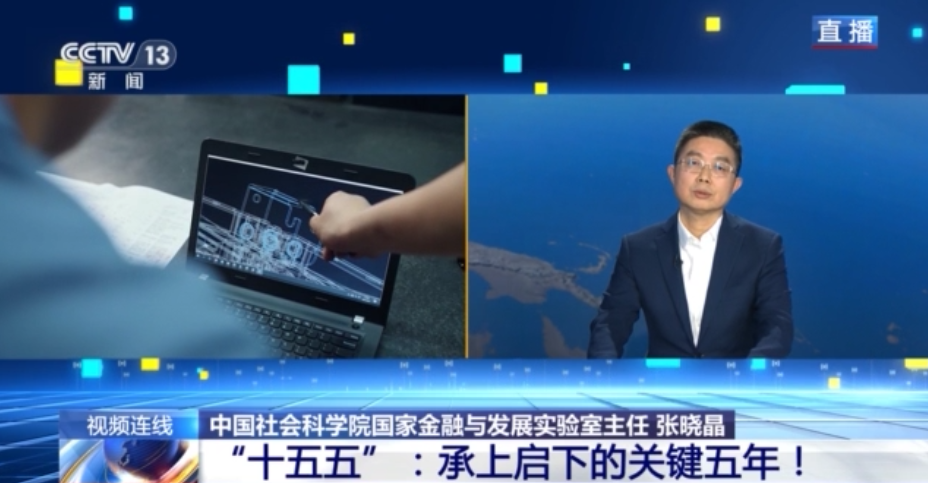 Zhang Xiaojing, professor of Economics and Director of the National Institution for Finance and Development at the Chinese Academy of Social Sciences, accepts video interview with China Media Group (CMG). /CMG screenshot