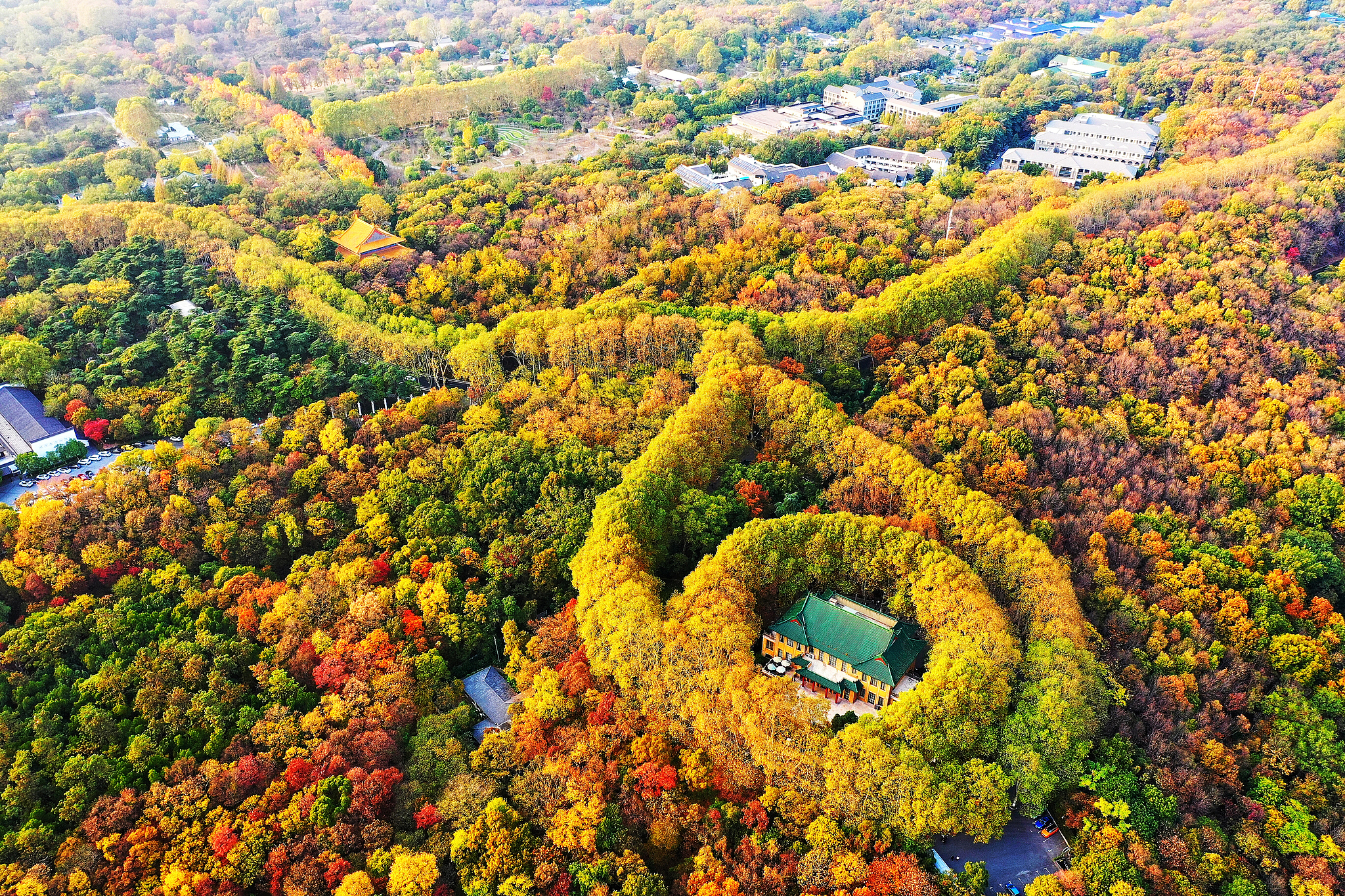 Autumn view of the Meiling Palace in Nanjing, China. /VCG
