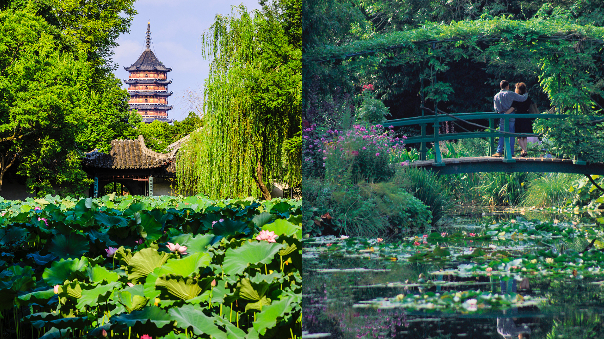 American scholar praises Suzhou's East-West garden exhibition