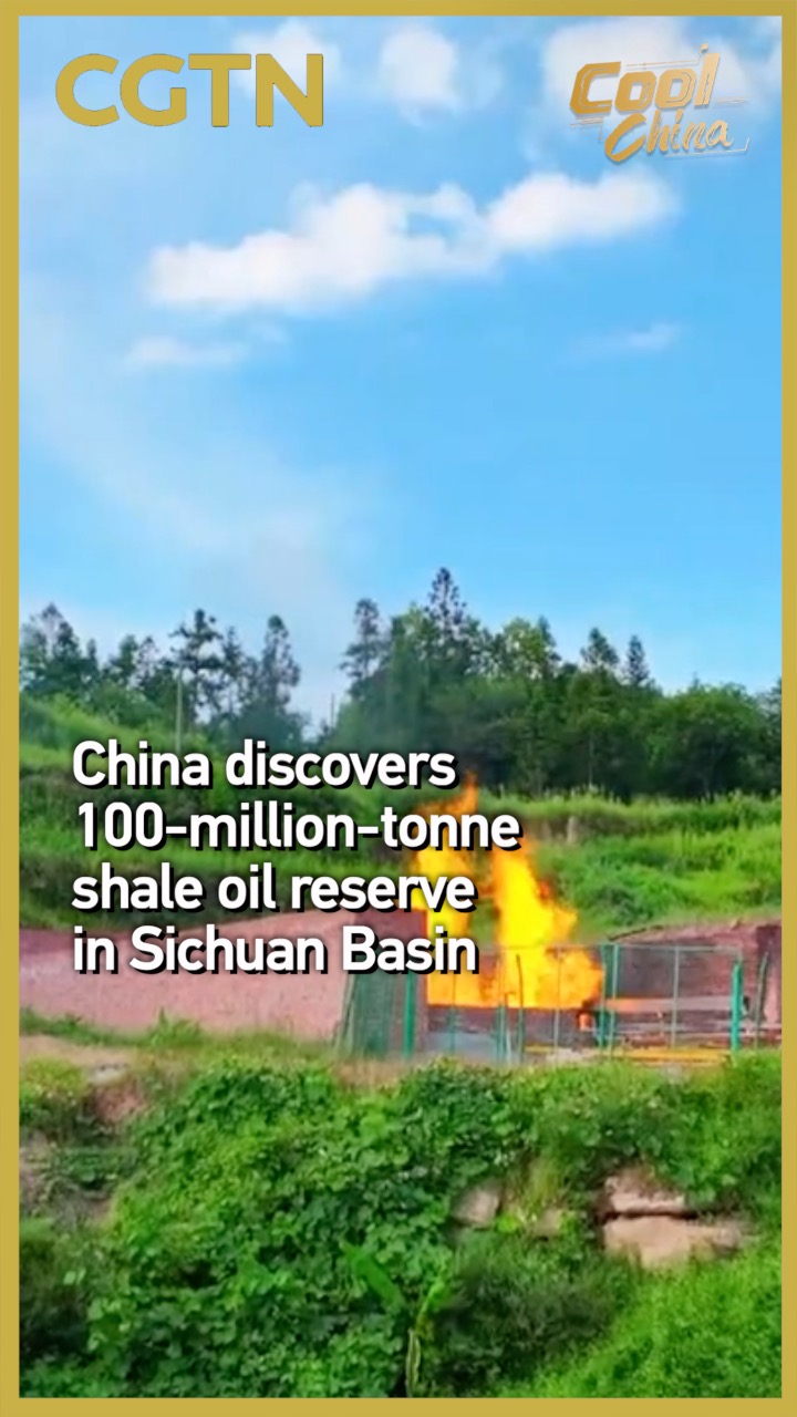 China discovers 100-million-tonne shale oil reserve in Sichuan Basin