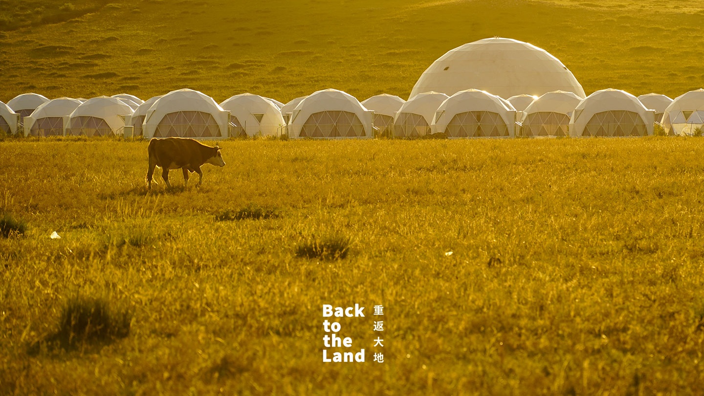 Ulanqab Grasslands: The rhythm of life in herds