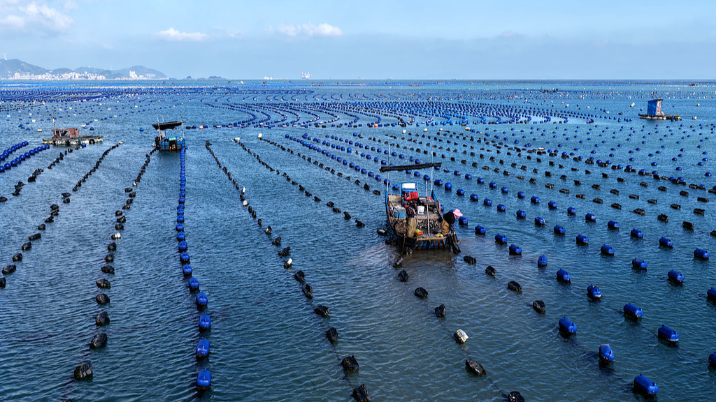 China has world's most comprehensive maritime judicial system: report