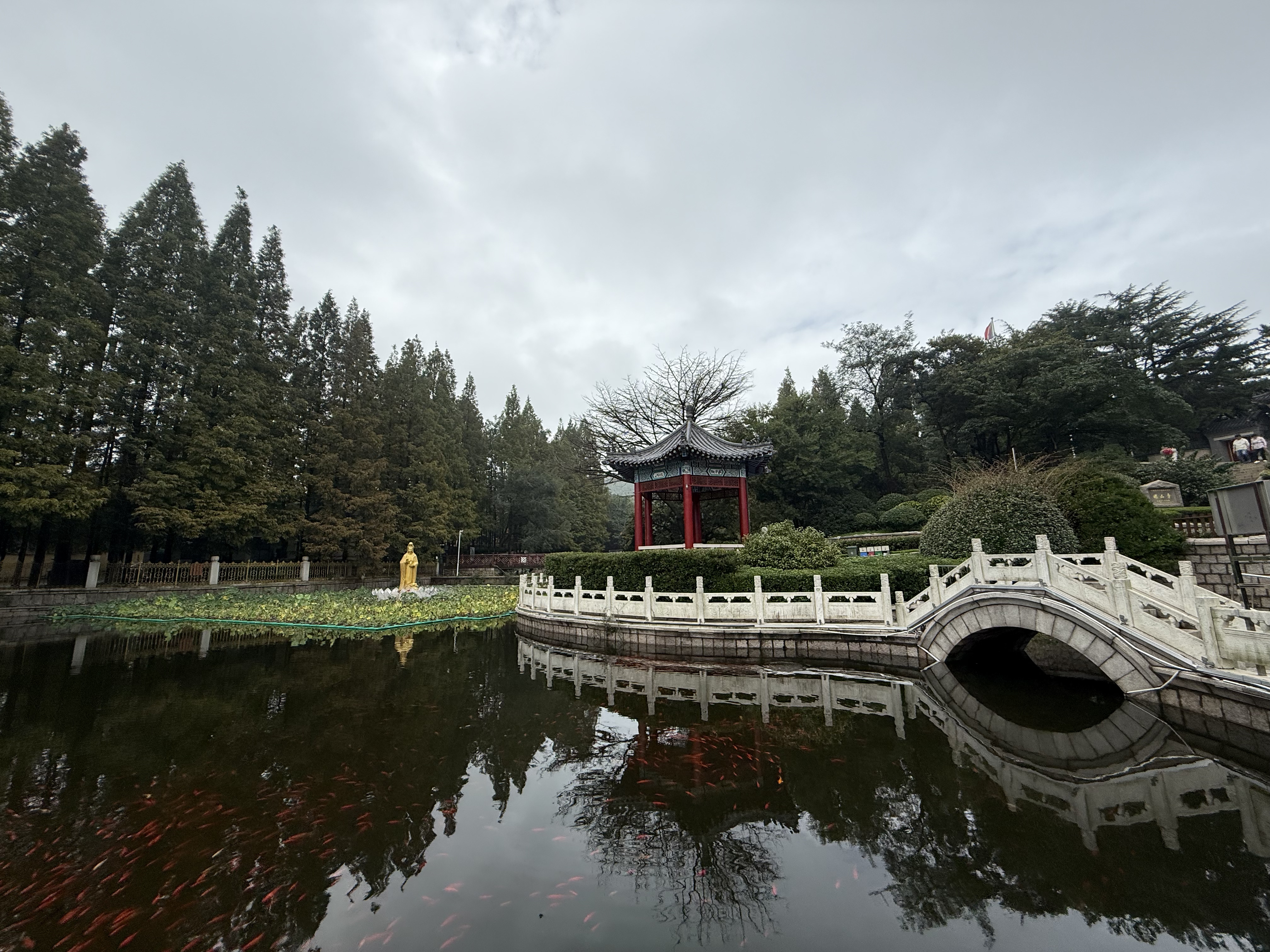 A koi pond and pavilion garden in front of Zhanshan Temple's main entrance, Qingdao, Shandong Province, China, September 2025. Zaruhi Poghosyan /CGTN