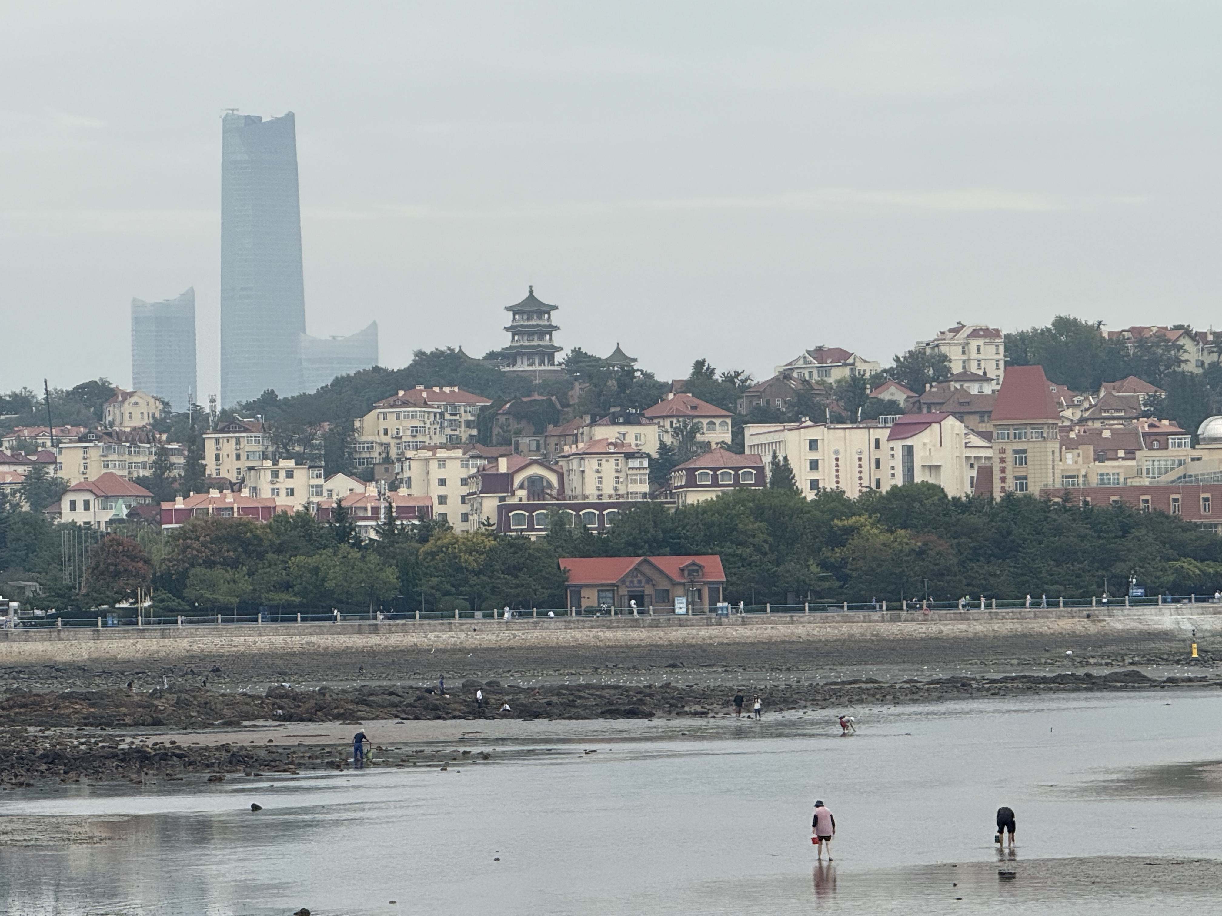 Women wade through the shallows near Zhanqiao Pier, searching for clams and seashells along the shore in Qingdao, Shandong Province, China, September 2025. Zaruhi Poghosyan /CGTN
